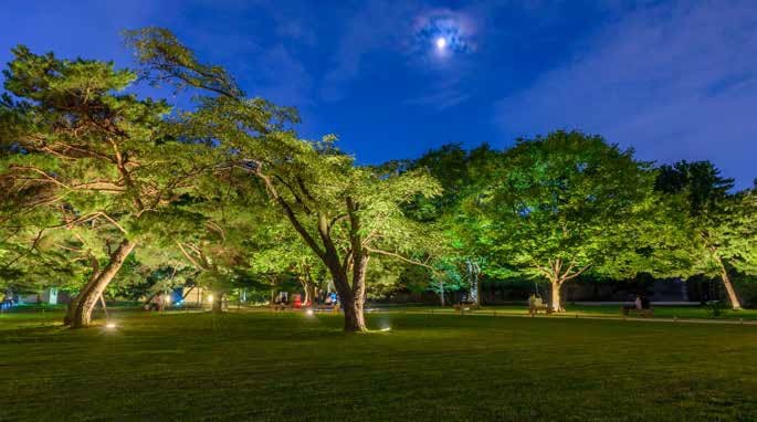 Illuminazione-di-parchi-e-giardini