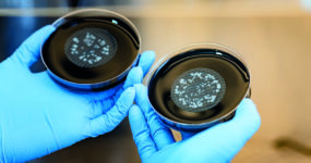 Legionella nei condomini
